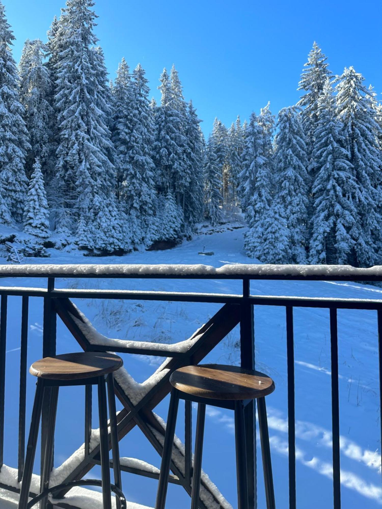 Castle Romance - Pamporovo Kültér fotó