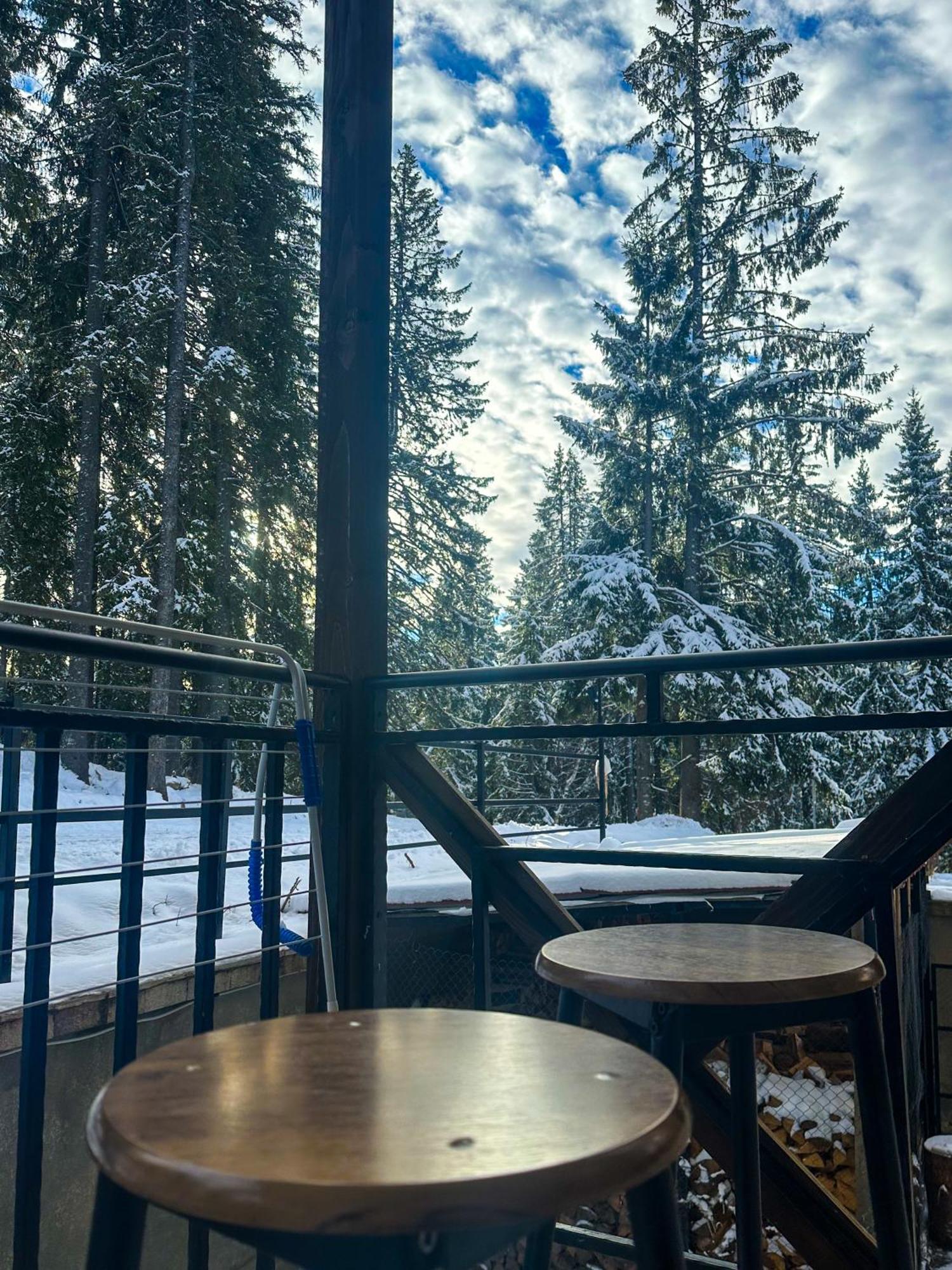 Castle Romance - Pamporovo Kültér fotó